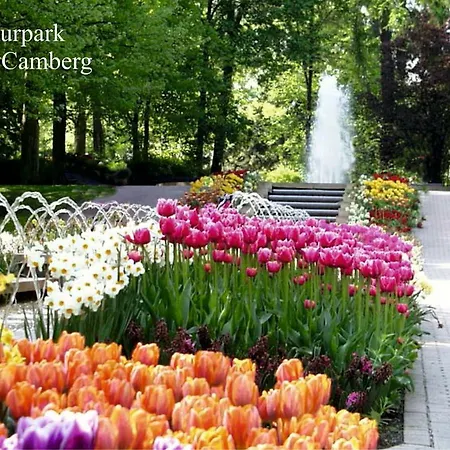 度假居 Moevennest *