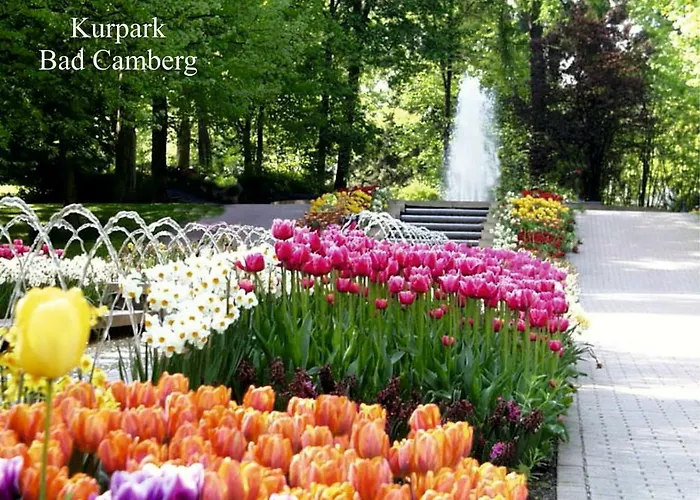 度假居 Moevennest *